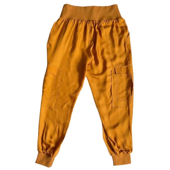 Cinq a Sept x Revolve Giles  Satin Jogger Pants in Cinnamon/Merigold - Picture 3 of 6